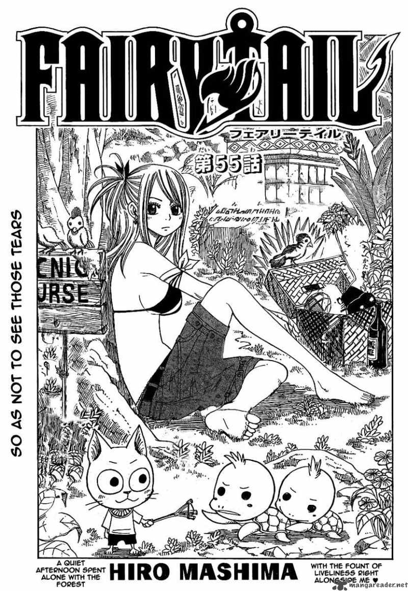 Fairy Tail 55 2