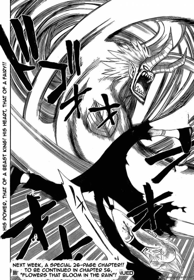Fairy Tail 55 21