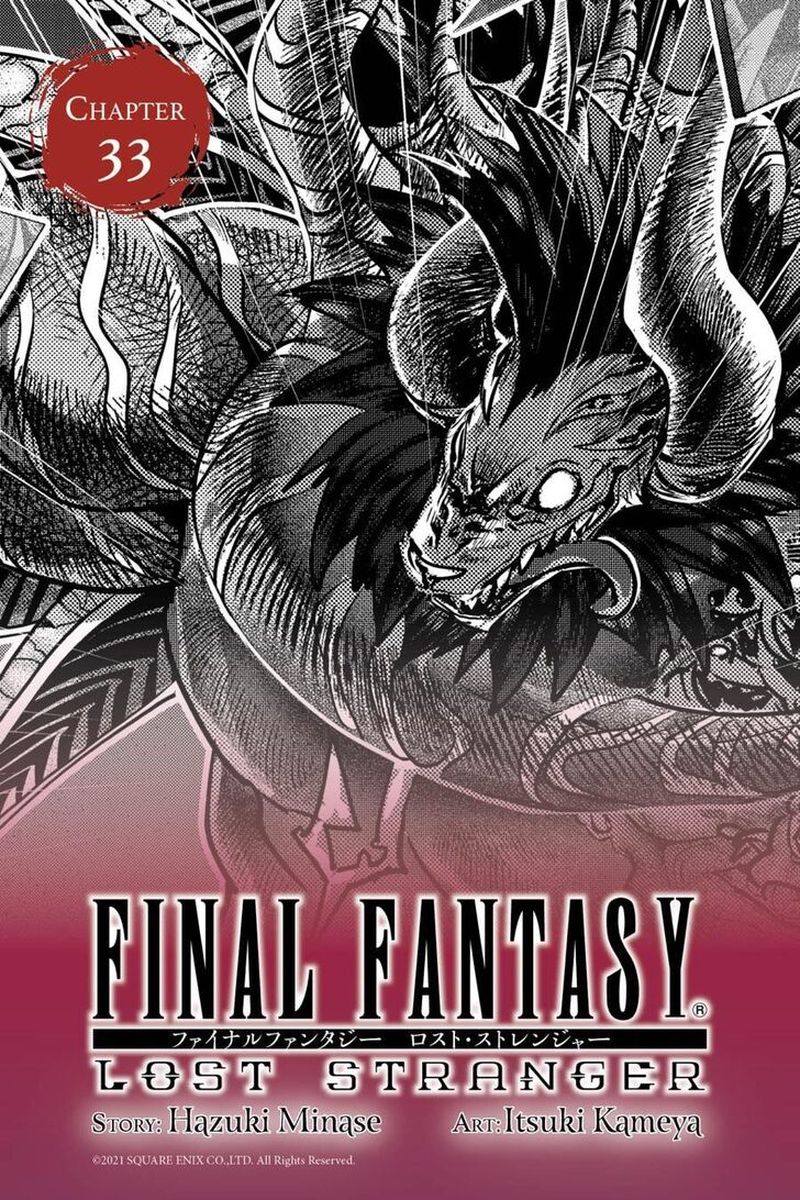 Final Fantasy Lost Stranger 33 1