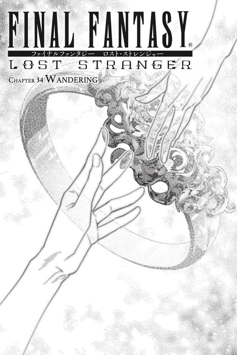 Final Fantasy Lost Stranger 34 3