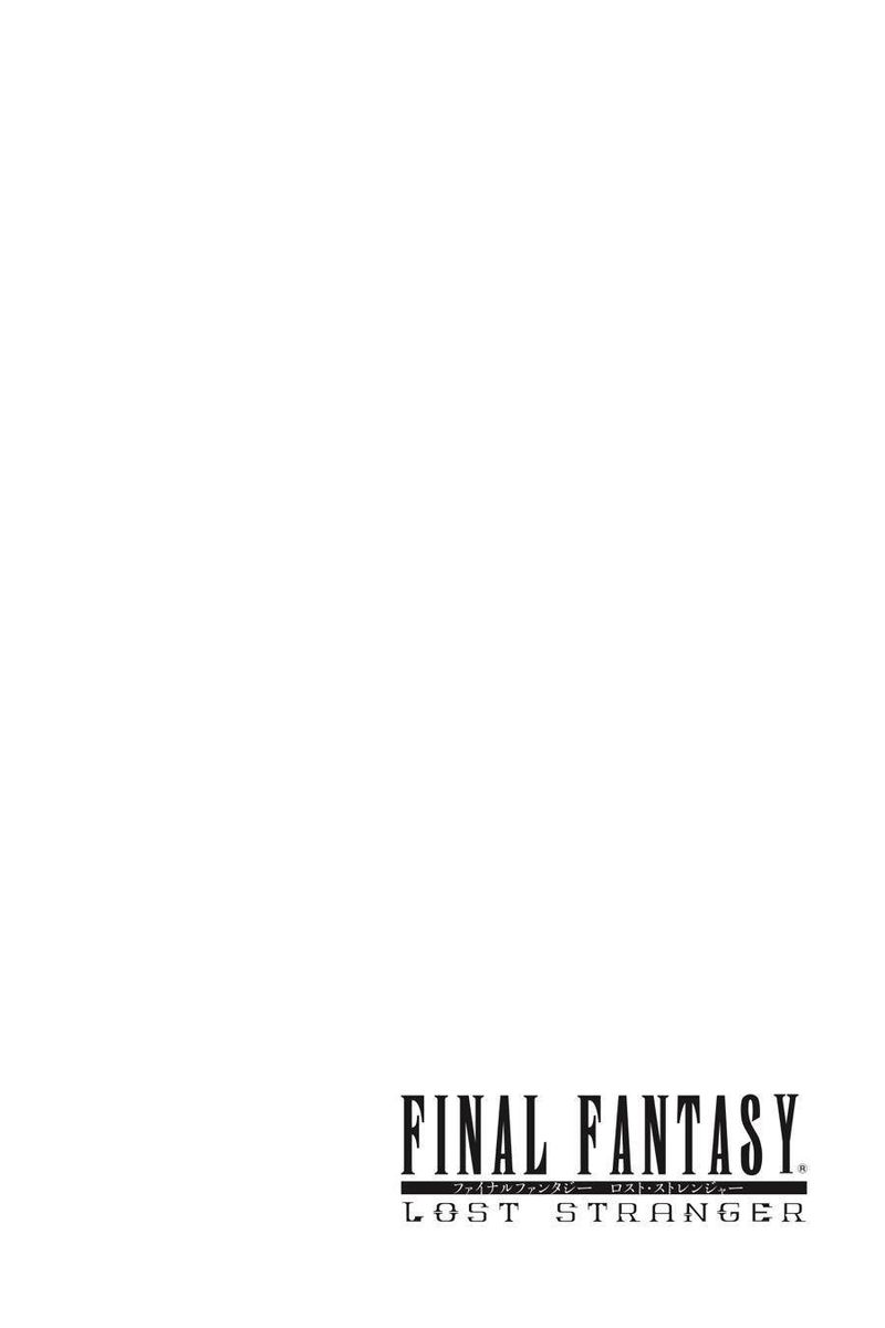 Final Fantasy Lost Stranger 40 3