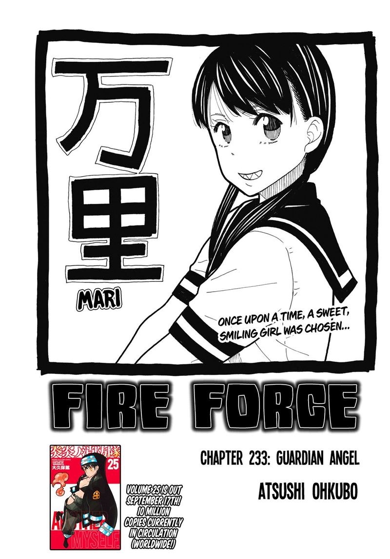 Fire Brigade Of Flames 233 1