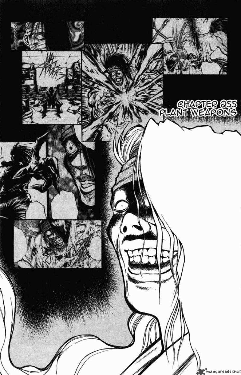 Flame Of Recca 256 1