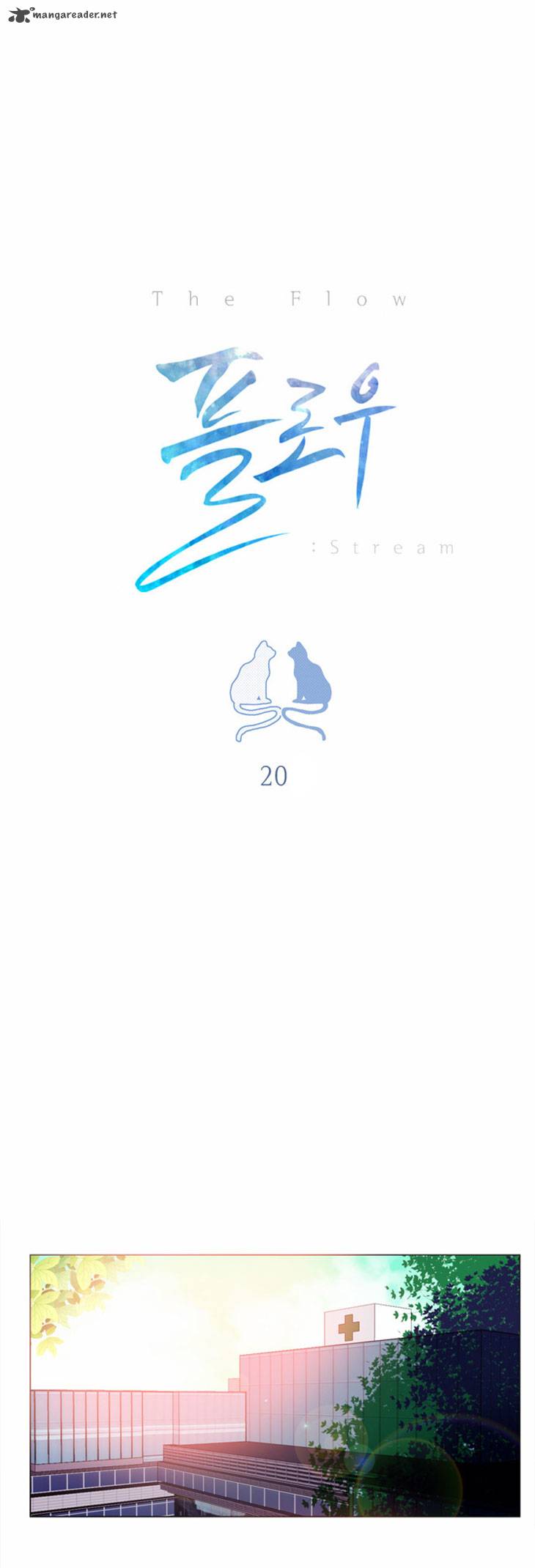 Flow 20 6