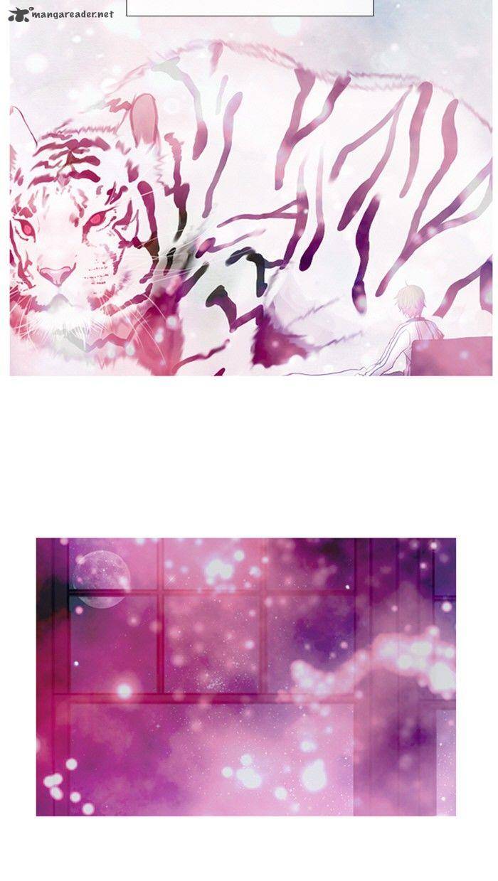 Flow 99 60