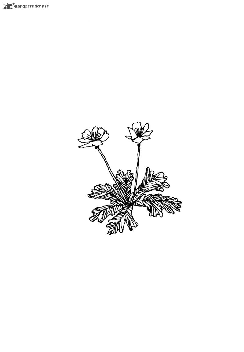 Flower 1 214