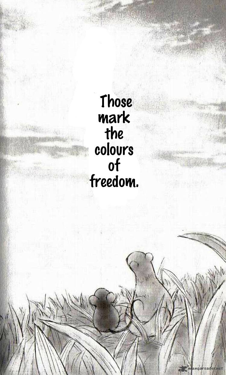 Flying Free 3 29