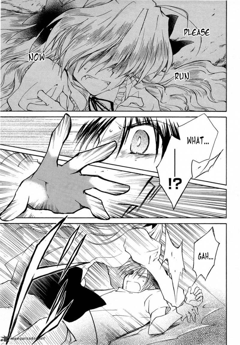 Fortune Arterial 37 19