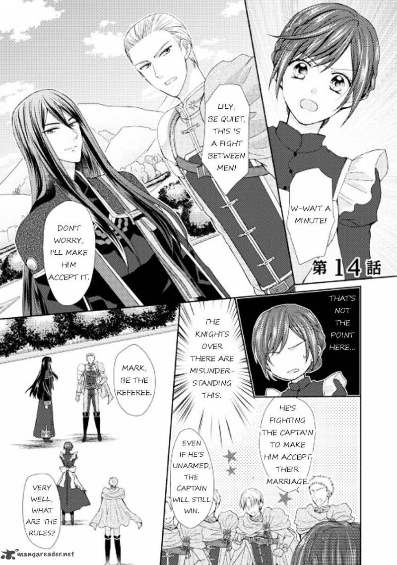 From Maid To Mother 14 1