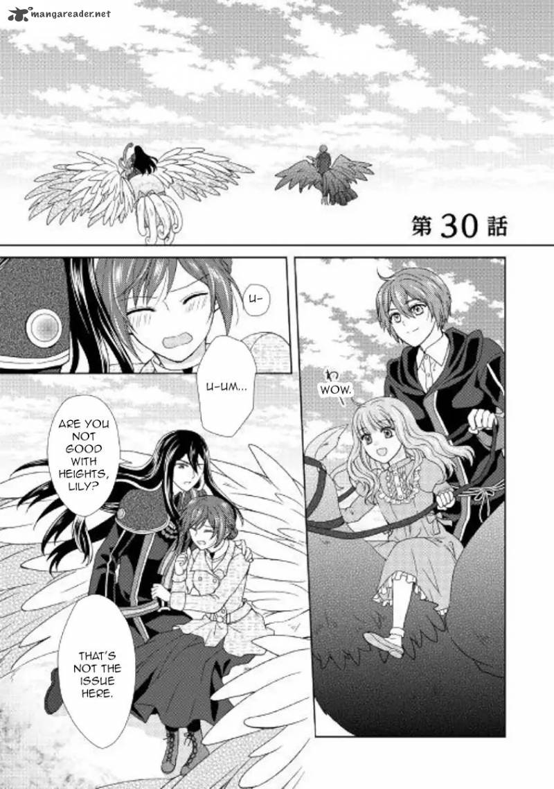 From Maid To Mother 30 1