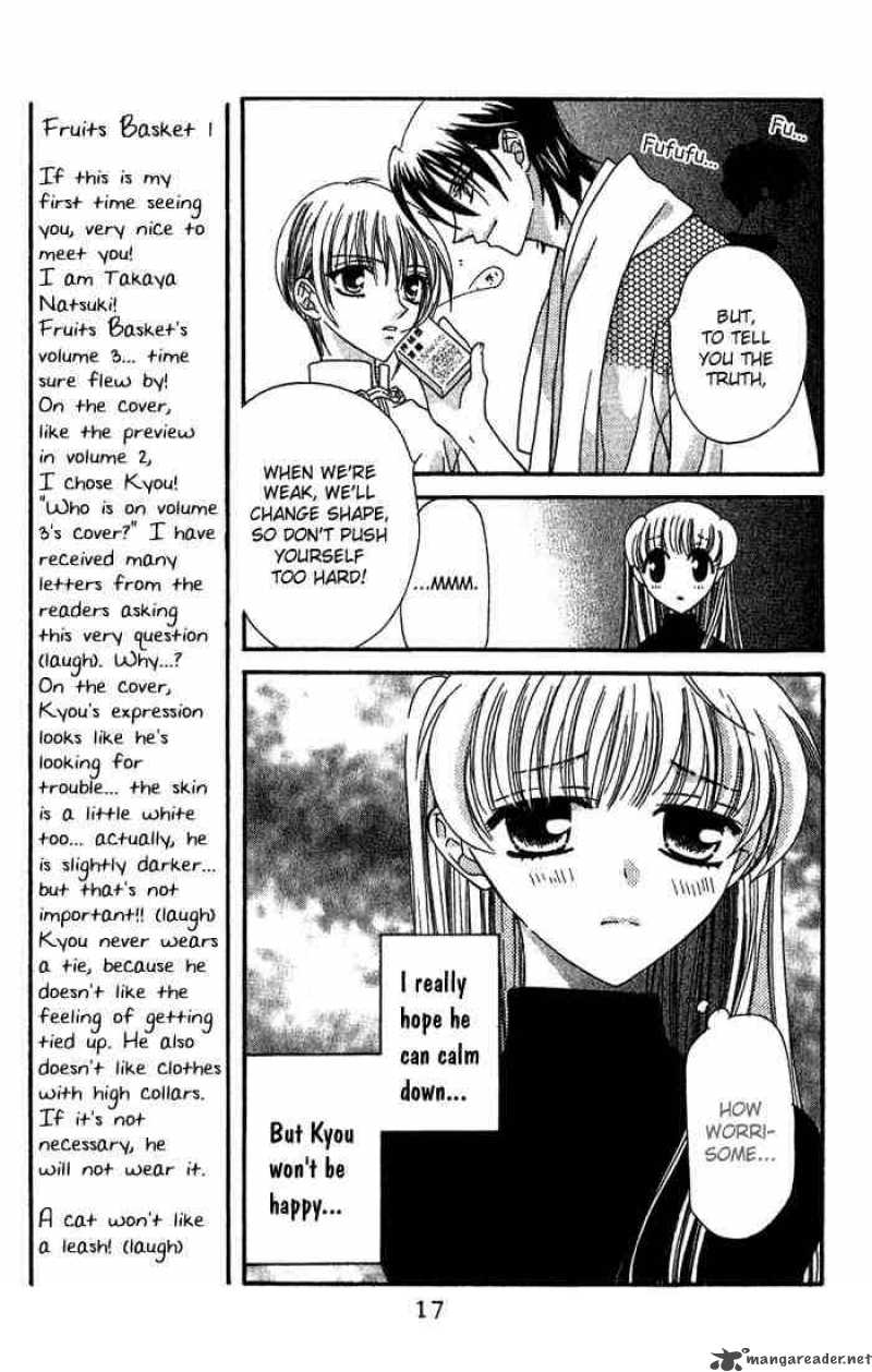 Fruits Basket 13 15