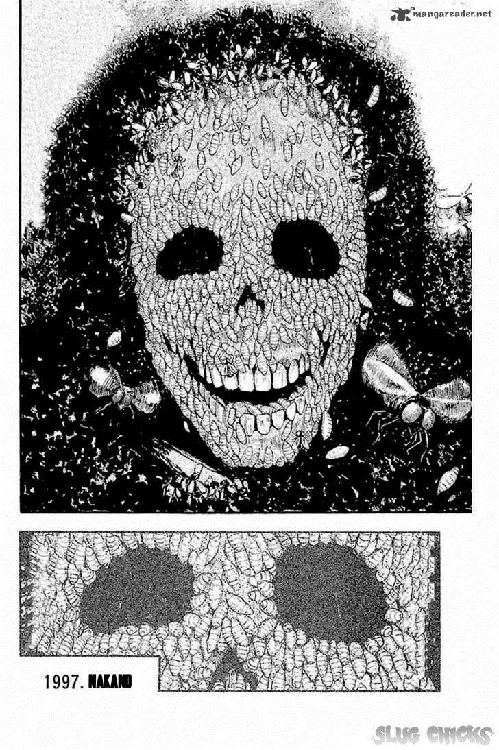 Fuan No Tane Plus 31 8