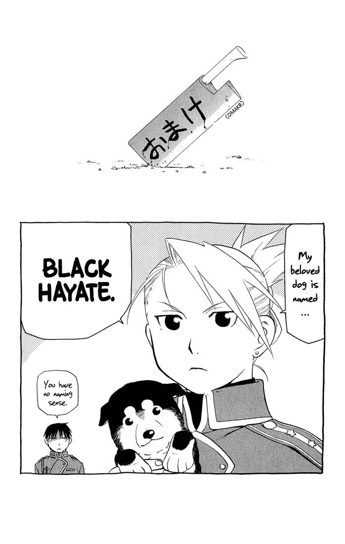 Full Metal Alchemist 16 41