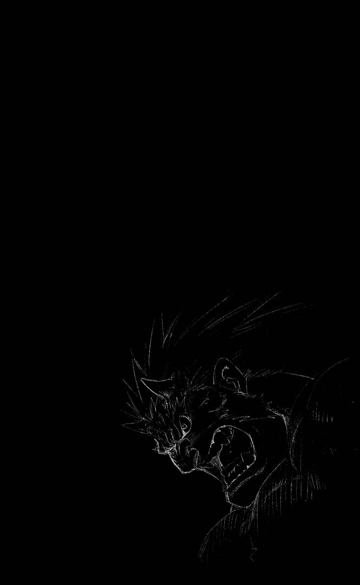 Full Metal Alchemist 30 5