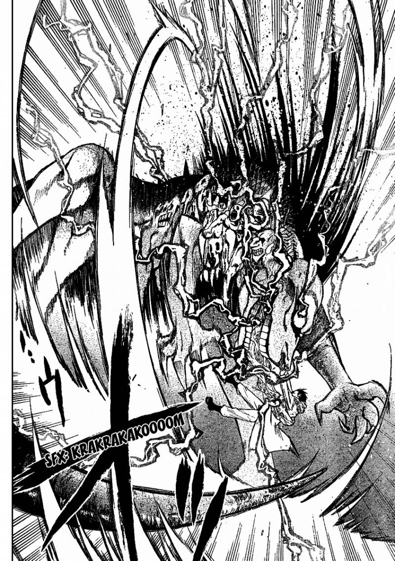 Full Metal Alchemist 79 25