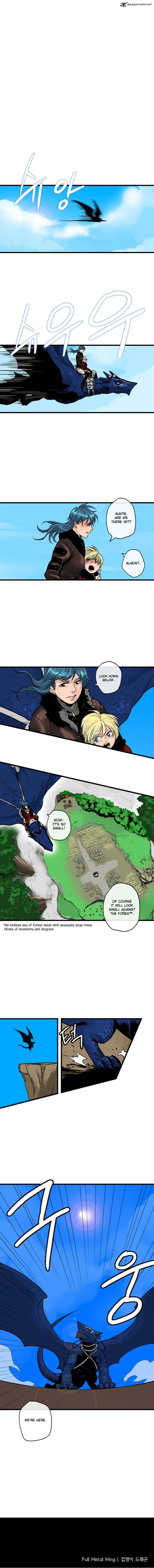 Full Metal Wing 5 9