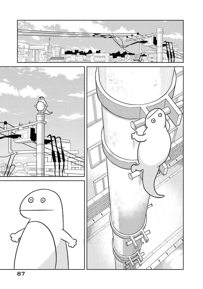 Gal To Tsuchinoko 6 5