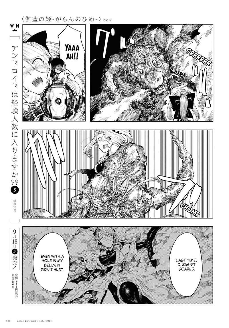 Garan No Hime 13 5