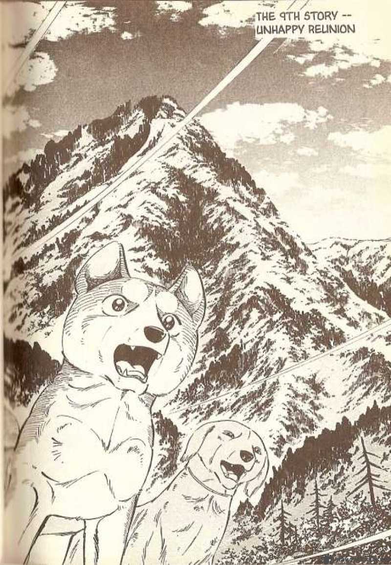 Ginga Densetsu Weed 9 1