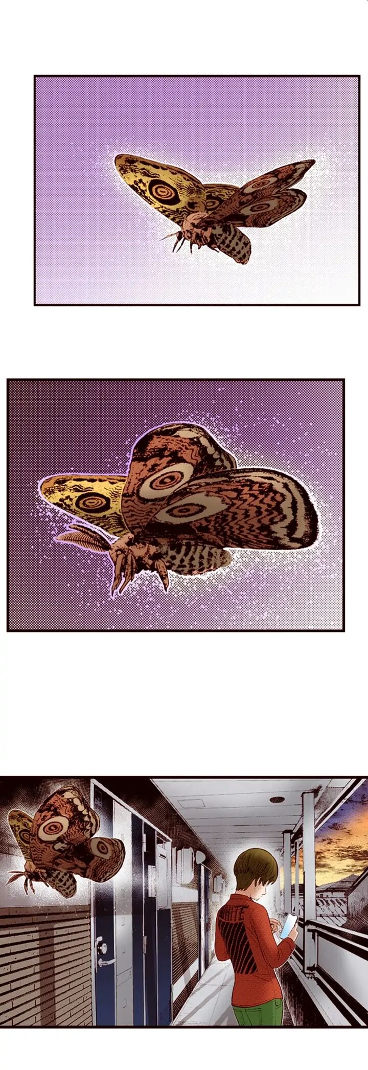 Giniro No Genders 39 6