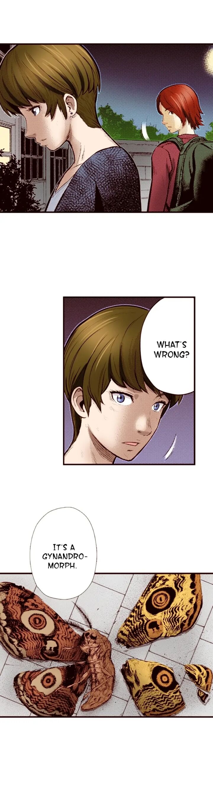 Giniro No Genders 72 6