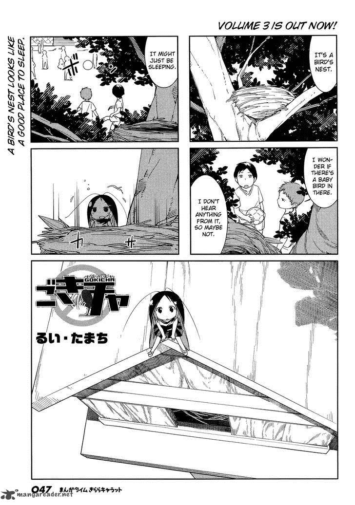 Gokicha 43 1