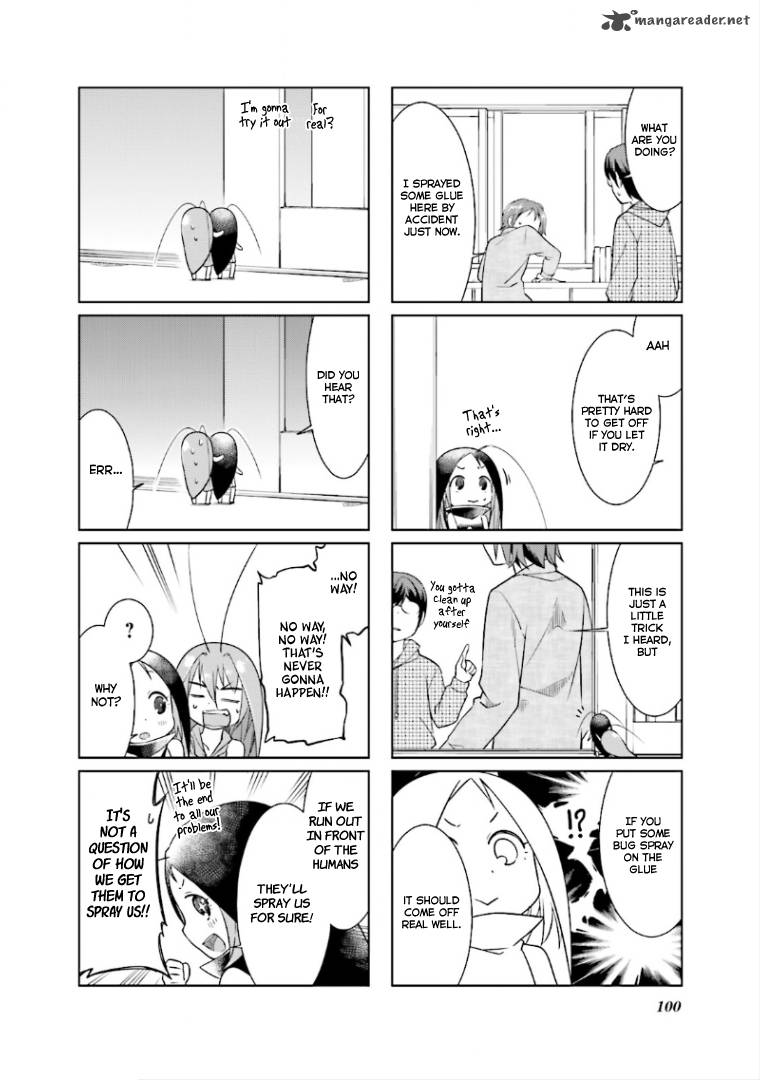 Gokicha 51 6
