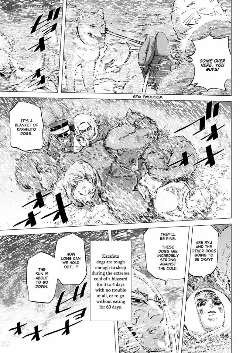 Golden Kamui 167 5