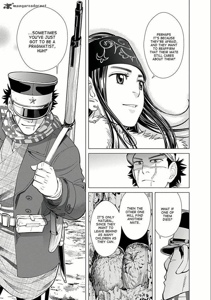 Golden Kamui 35 5
