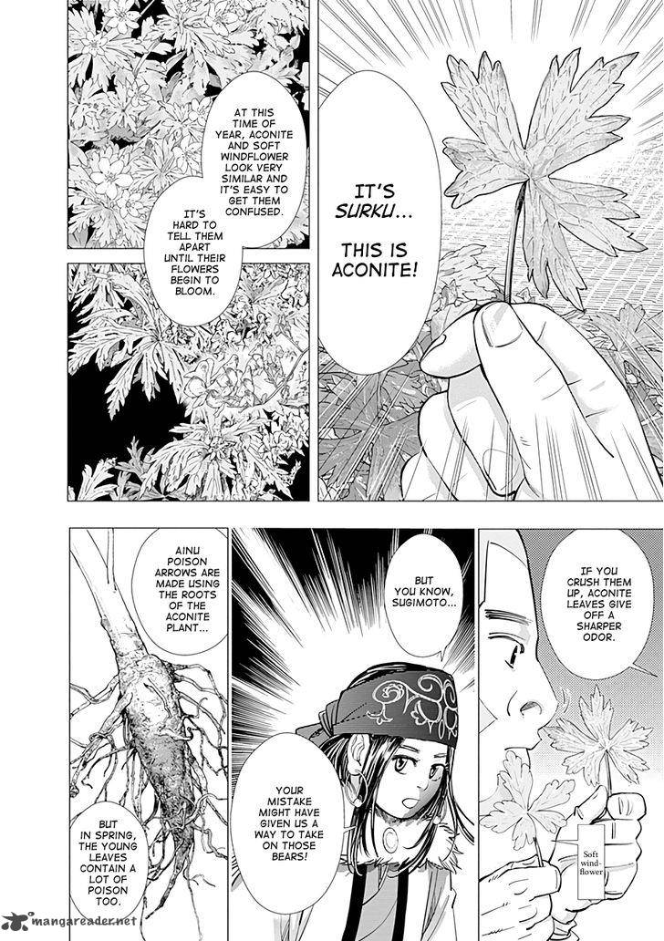 Golden Kamui 68 14