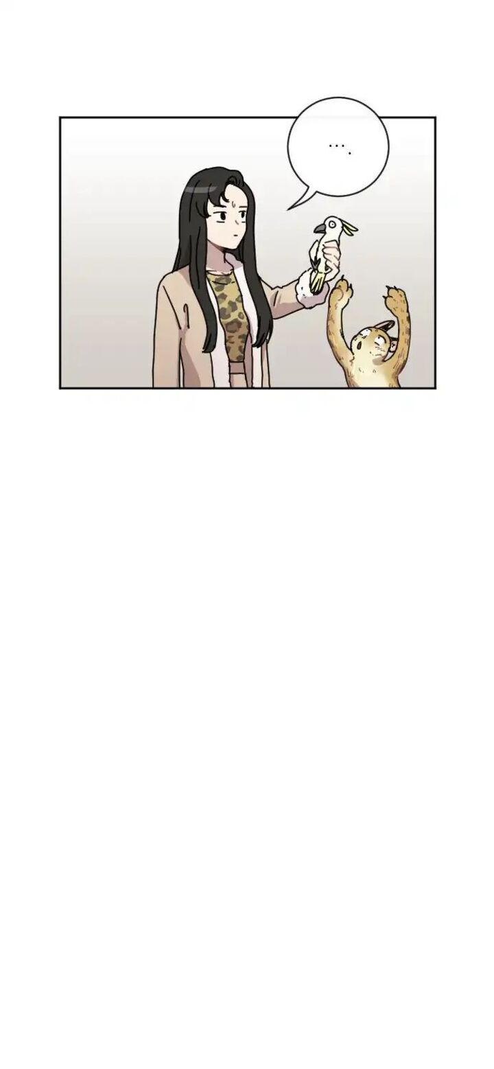 Googookaka 010 37