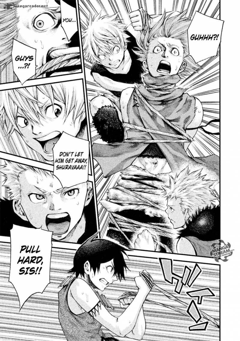 Grashros 12 17