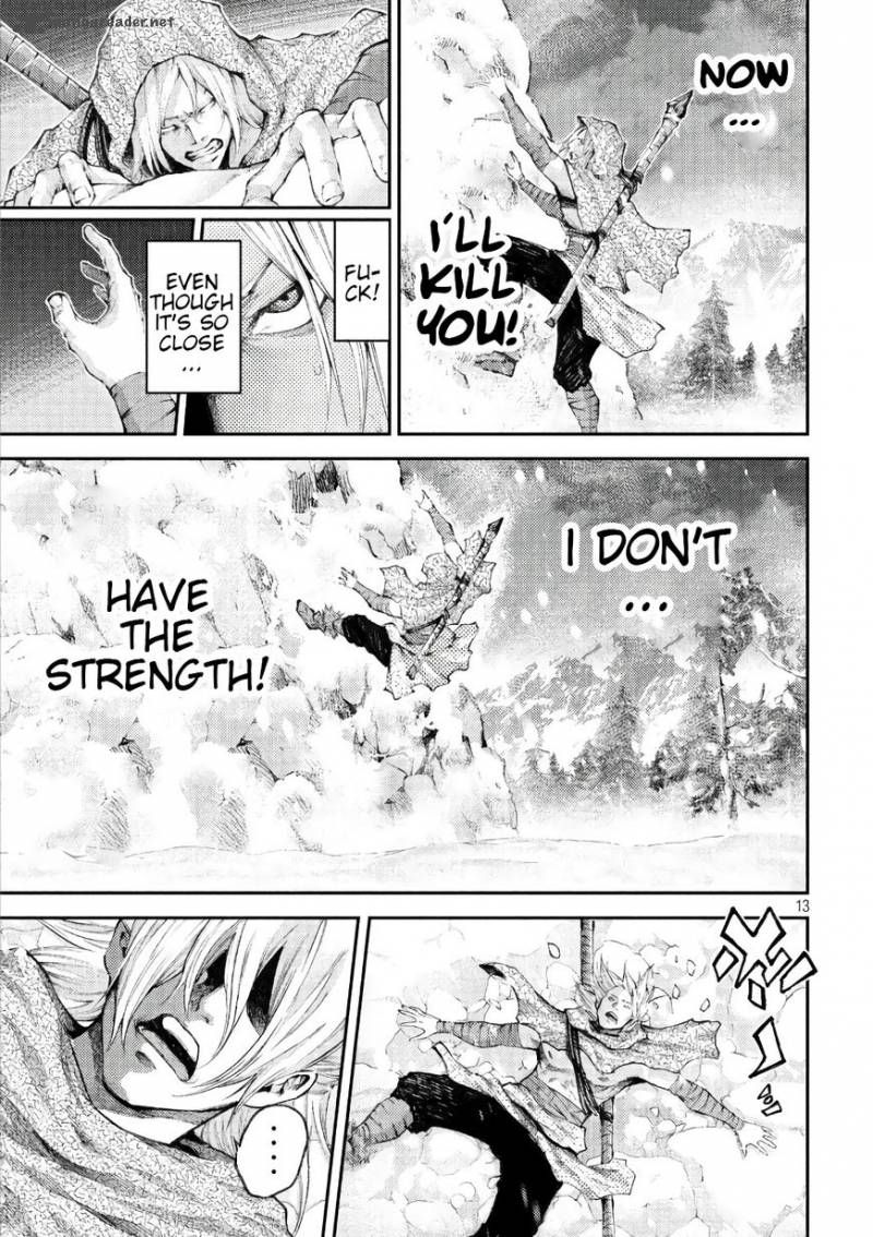 Grashros 40 13