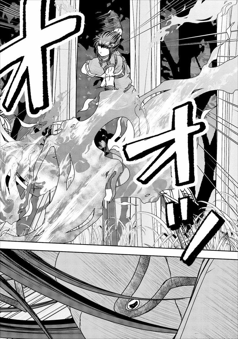 Guild No Cheat Na Uketsukejou 9 34
