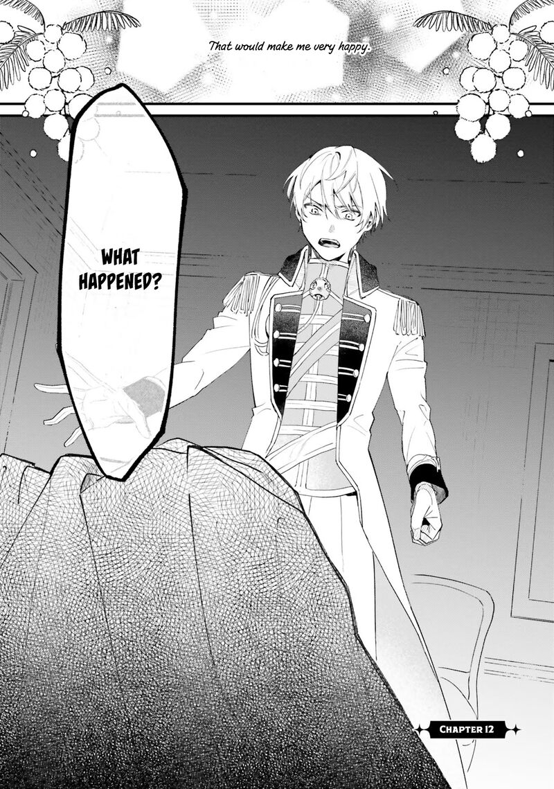 Gyakkou Shita Akuyaku Reijou Wa Naze Ka Maryoku Wo Ushinattanode Shinsou No Reijou Ni Narimasu 12 2