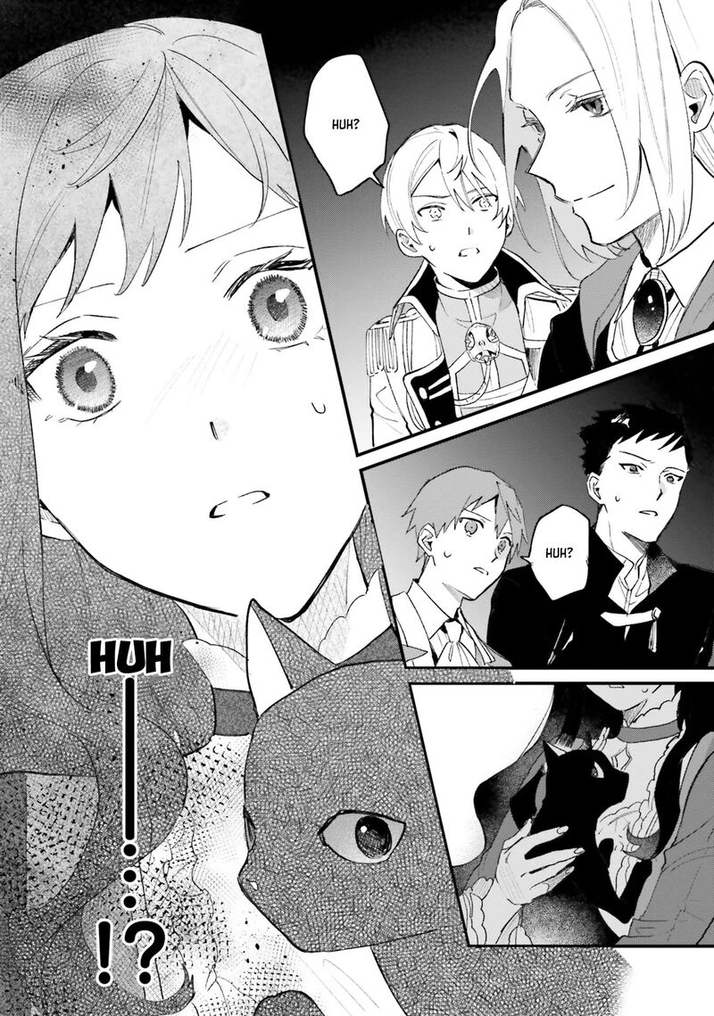 Gyakkou Shita Akuyaku Reijou Wa Naze Ka Maryoku Wo Ushinattanode Shinsou No Reijou Ni Narimasu 13 30