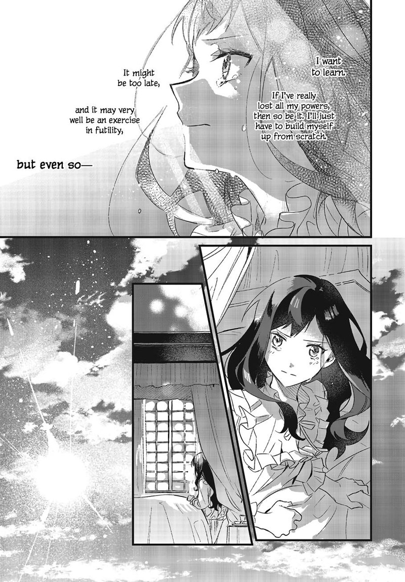 Gyakkou Shita Akuyaku Reijou Wa Naze Ka Maryoku Wo Ushinattanode Shinsou No Reijou Ni Narimasu 2 41