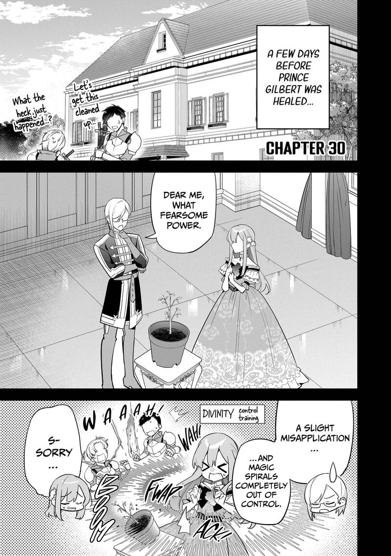 Gyakutaisarete Ita Shouka No Reijou Wa Seijo No Chikara Wo Te Ni Ire Mujikaku Ni Youshanaku Gyakushuu Suru 30 1