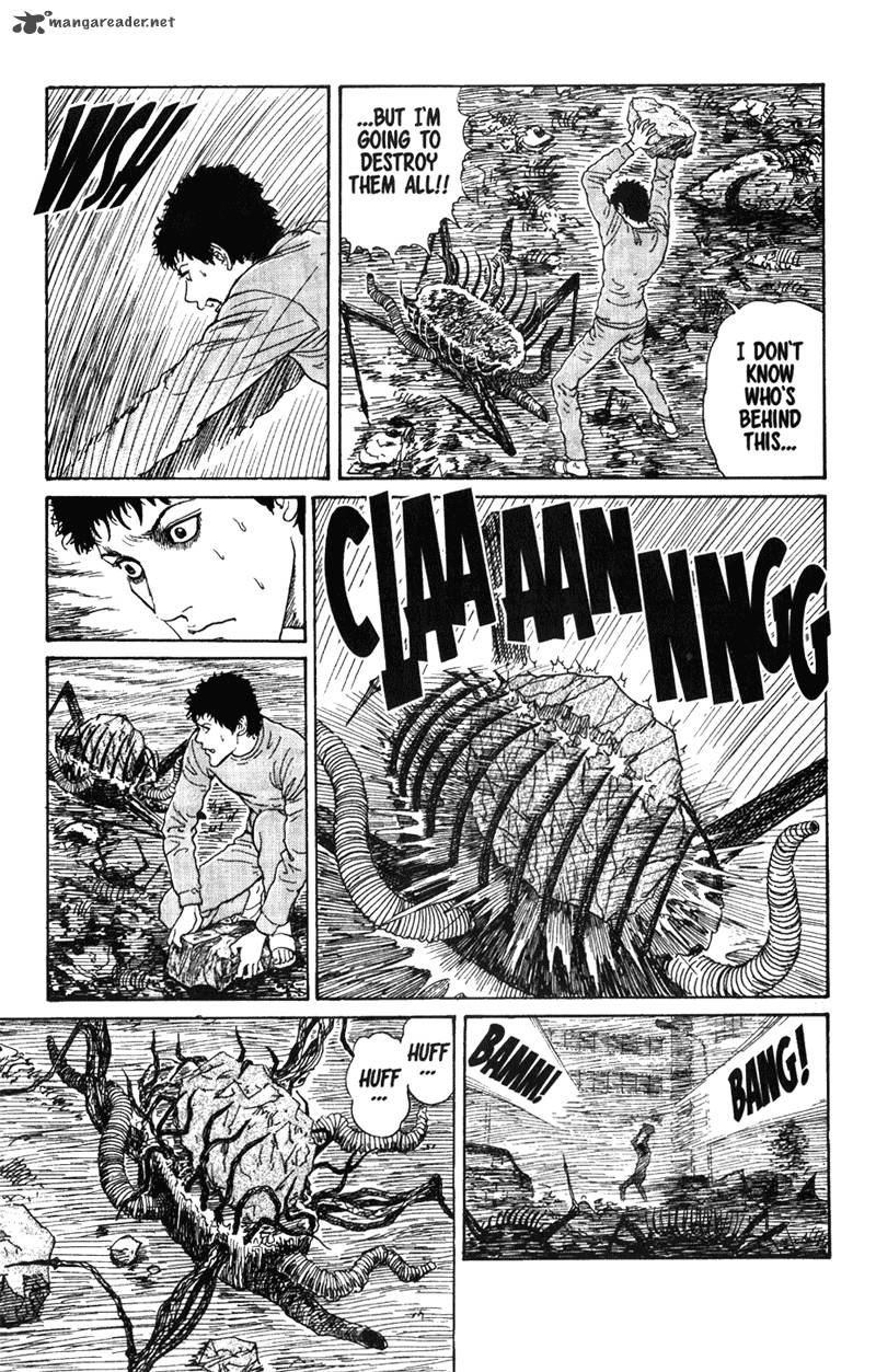 Gyo 13 11