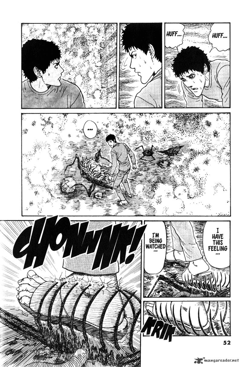 Gyo 13 12