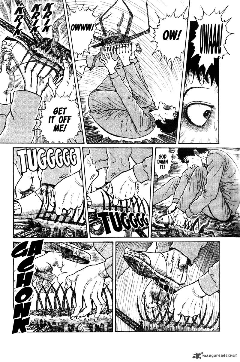 Gyo 13 13