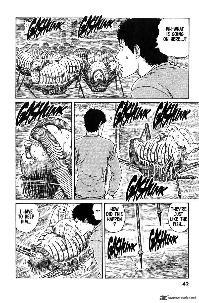 Gyo 13 2