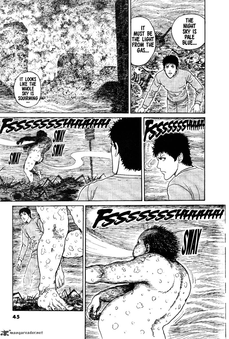 Gyo 13 5