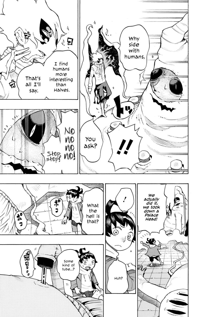 Hachi 7 18