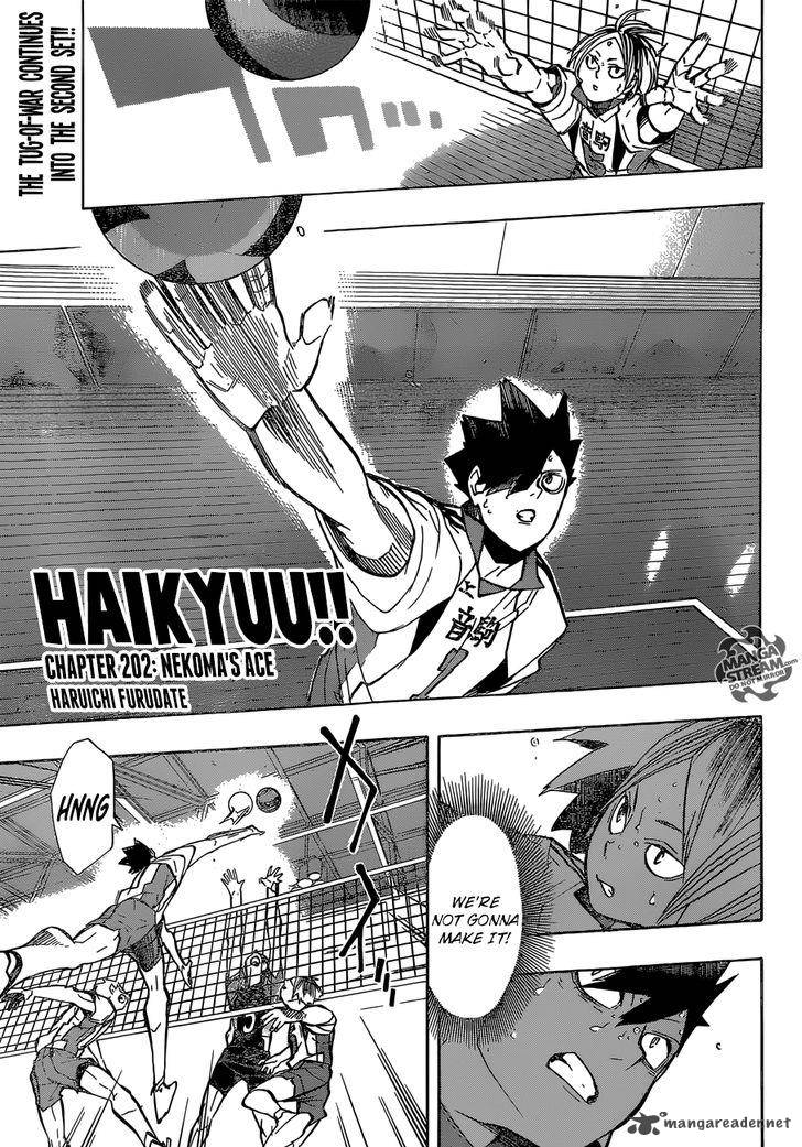 Haikyu 202 1