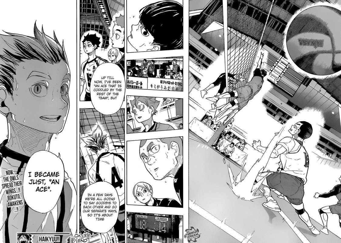 Haikyu 331 18