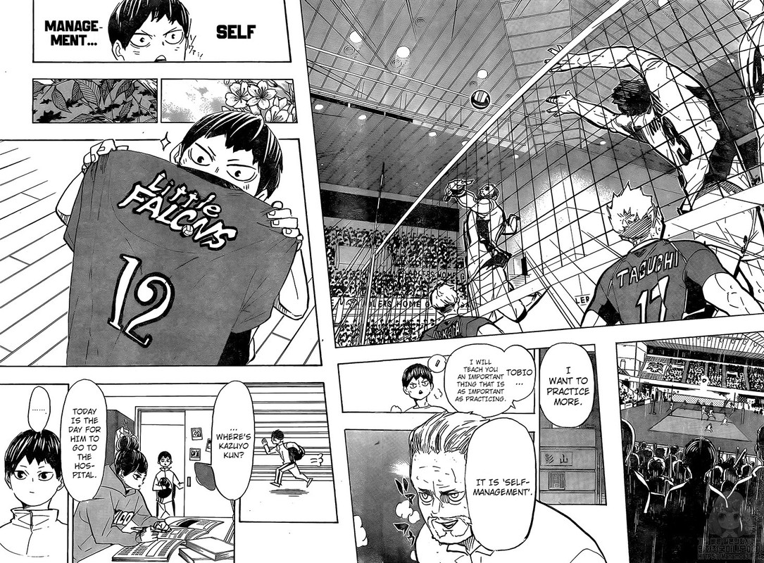 Haikyu 387 8