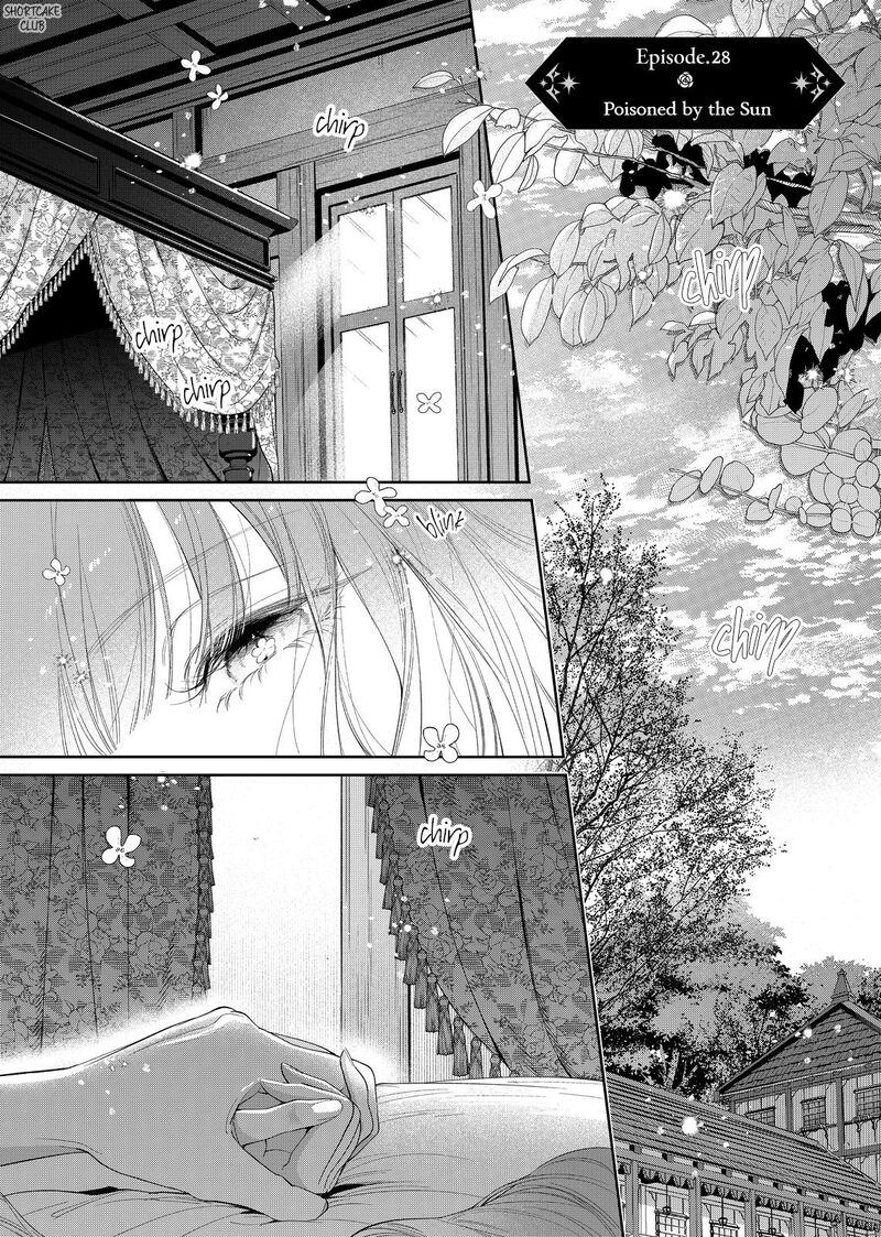 Hana Himeru Kimi No Meteor 28 3