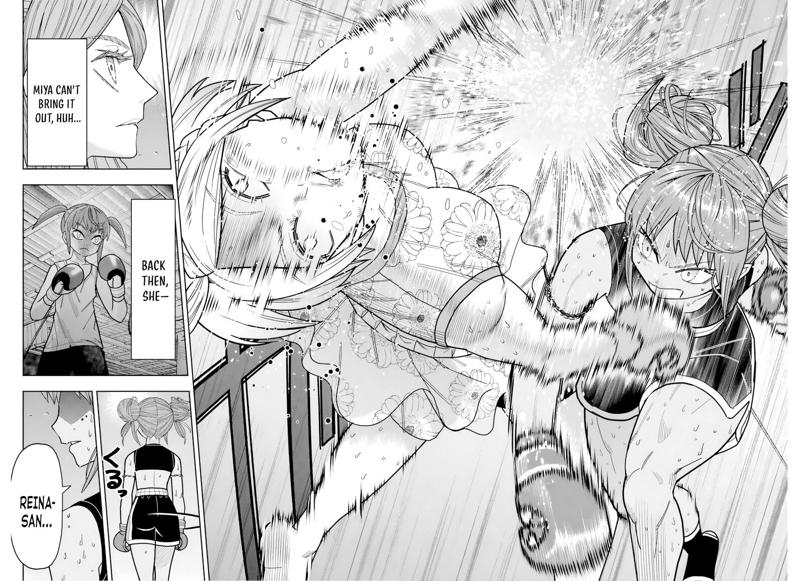 Hatch Potch Panch 36 18