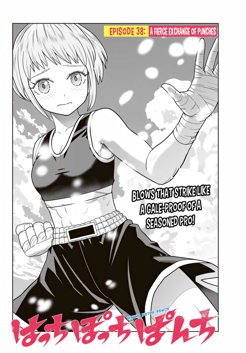 Hatch Potch Panch 38 7